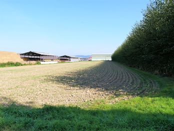 Prodej pozemku 3268 m², Dolany