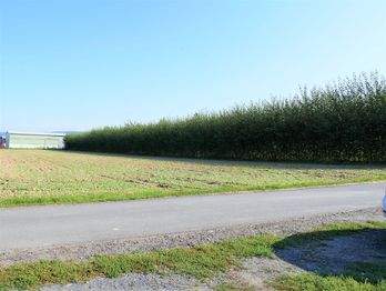 Prodej pozemku 3268 m², Dolany