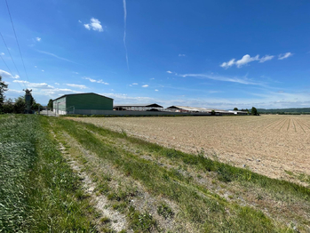 Prodej pozemku 10206 m², Dolany