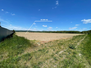 Prodej pozemku 10206 m², Dolany