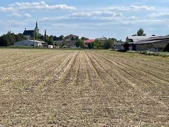 Prodej pozemku 10206 m², Dolany