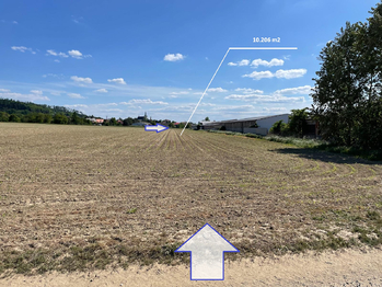 Prodej pozemku 10206 m², Dolany
