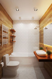 Vizualizace koupelny - Prodej bytu 2+kk v osobním vlastnictví 44 m², Praha 3 - Žižkov