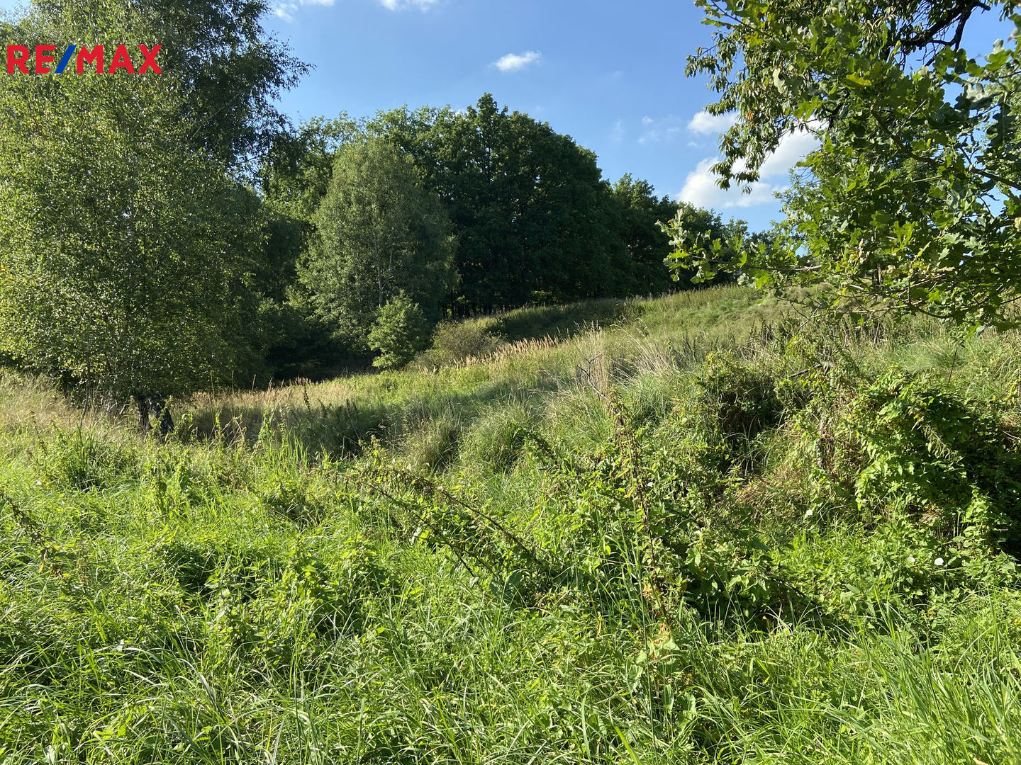 Prodej pozemku, 3022 m2, Doudleby