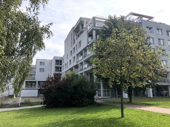 Pronájem obchodních prostor 100 m², Havířov