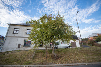 Prodej domu 480 m², Sokolov