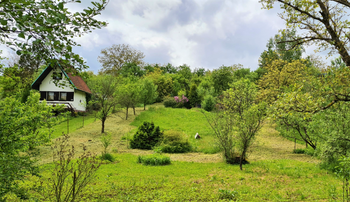 Zahrada 2.667 m² s chatou a kůlnou - Prodej chaty / chalupy 40 m², Uherský Brod