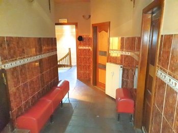 Prodej obchodních prostor 230 m², Praha 7 - Holešovice