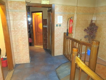 Prodej obchodních prostor 230 m², Praha 7 - Holešovice