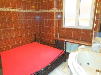 Prodej obchodních prostor 230 m², Praha 7 - Holešovice