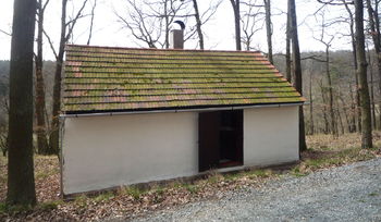 Chata je udržovaná včetně střechy, - Prodej chaty / chalupy 50 m², Plasy