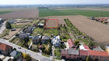 Prodej pozemku 10206 m², Dolany