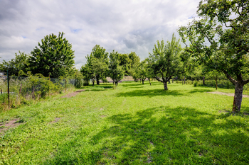 Prodej pozemku 903 m², Čebín