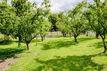 Prodej pozemku 903 m², Čebín