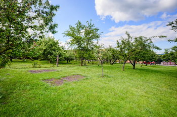 Prodej pozemku 903 m², Čebín