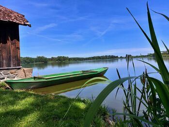 Prodej pozemku 1271 m², Klec