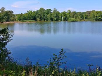 Prodej pozemku 1271 m², Klec