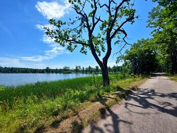 Prodej pozemku 1271 m², Klec