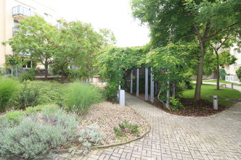 krásná zahrada vnitrobloku - Pronájem bytu 1+kk v osobním vlastnictví 35 m², Praha 10 - Hostivař