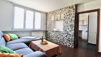 stěna z přírodního kamene - Prodej bytu 1+1 v družstevním vlastnictví 36 m², Chomutov