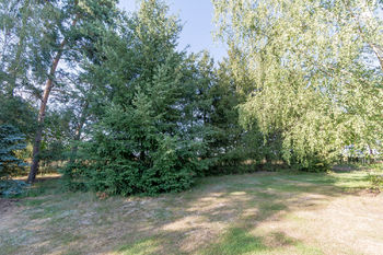 Prodej pozemku 6511 m², Osek