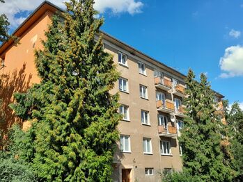 Prodej bytu 2+1 v osobním vlastnictví 51 m², Praha 3 - Žižkov