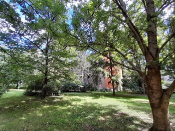 Prodej bytu 2+1 v osobním vlastnictví 51 m², Praha 3 - Žižkov