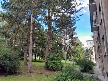 Prodej bytu 2+1 v osobním vlastnictví 51 m², Praha 3 - Žižkov