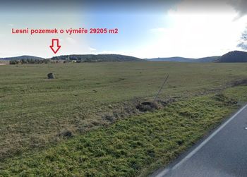 Prodej pozemku 29205 m², Borová Lada