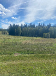Prodej pozemku 29205 m², Borová Lada
