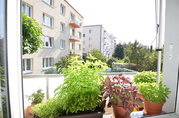 Pohled z balkonu - Prodej bytu 2+1 v osobním vlastnictví 54 m², Brno