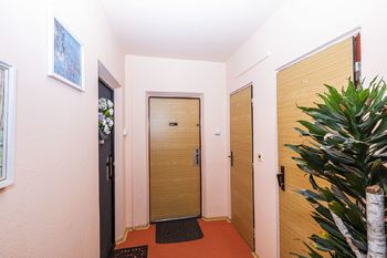 Vstupní chodba - Pronájem bytu 2+kk v osobním vlastnictví 40 m², Roudnice nad Labem
