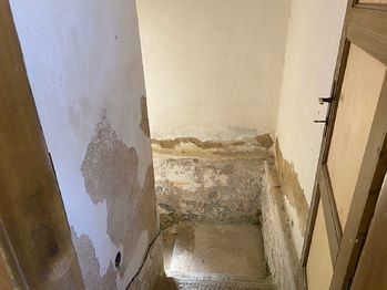 Prodej domu 270 m², Blatná