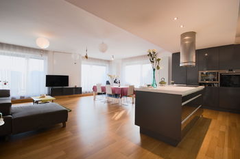 obývací pokoj s kuchyní - Prodej bytu atypický v osobním vlastnictví 250 m², Olomouc 