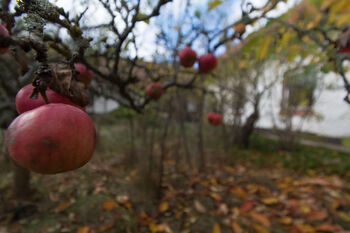Prodej domu 255 m², Lišice