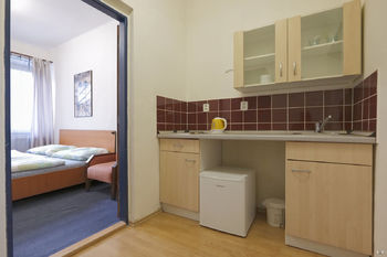 Pronájem bytu 1+1 v osobním vlastnictví 35 m², Velké Hamry