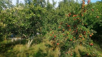Prodej pozemku 1030 m², Vavřinec