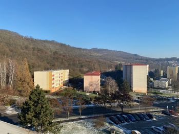 Prodej bytu 3+1 v družstevním vlastnictví 74 m², Ústí nad Labem