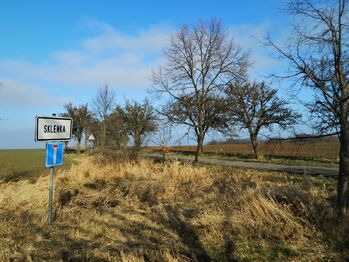 Prodej pozemku 29081 m², Říčany