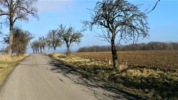 Po pravé straně jsou patrny největší dva pozemky. - Prodej pozemku 29081 m², Říčany