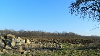 Prodej pozemku 29081 m², Říčany