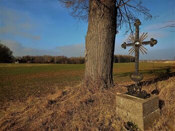 Půda u osady Slenka je kvalitní. - Prodej pozemku 29081 m², Říčany