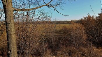 Druhý z pozemků za dálničim mostem. - Prodej pozemku 29081 m², Říčany