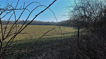 Pohled k pozemku za mostem. - Prodej pozemku 29081 m², Říčany