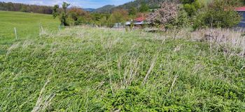 Prodej pozemku 2358 m², Milotice nad Opavou