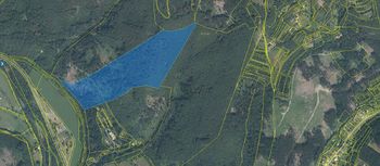 pohled na pozemek - Prodej pozemku 114530 m², Dolní Bečva 