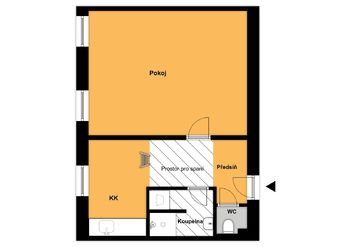 Prodej bytu 1+1 v osobním vlastnictví 39 m², Praha 3 - Vinohrady