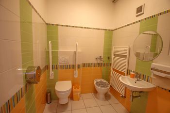 WC pro tělesně postižené - Prodej komerčního prostoru 240 m², Dolní Dvořiště