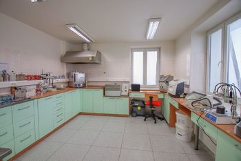 laboratoř - Prodej komerčního prostoru 240 m², Dolní Dvořiště