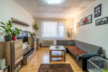 Prodej bytu 3+1 v osobním vlastnictví 65 m², Chlumec